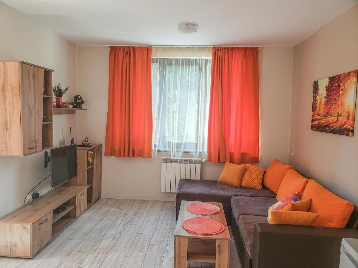 Lovely Borovets Apartment ภายนอก รูปภาพ