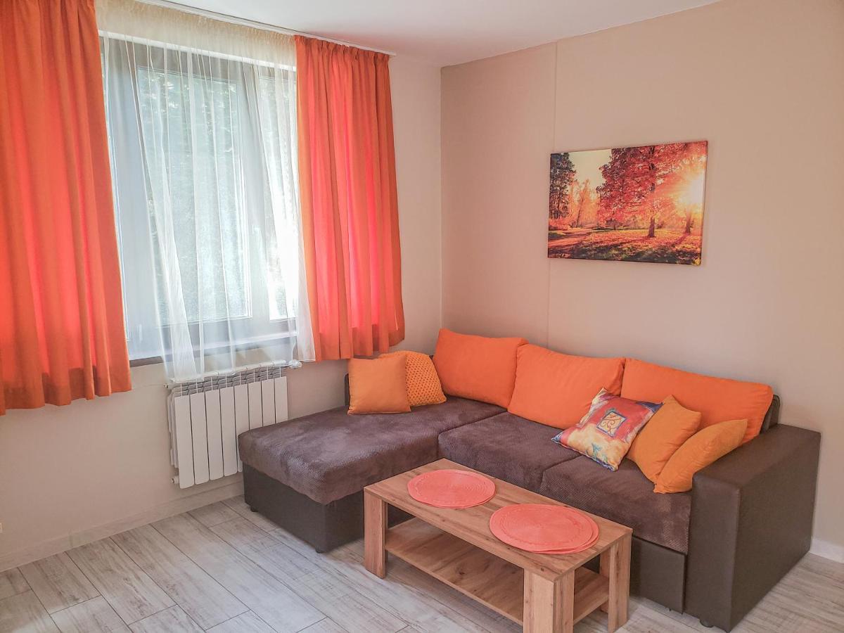 Lovely Borovets Apartment ภายนอก รูปภาพ